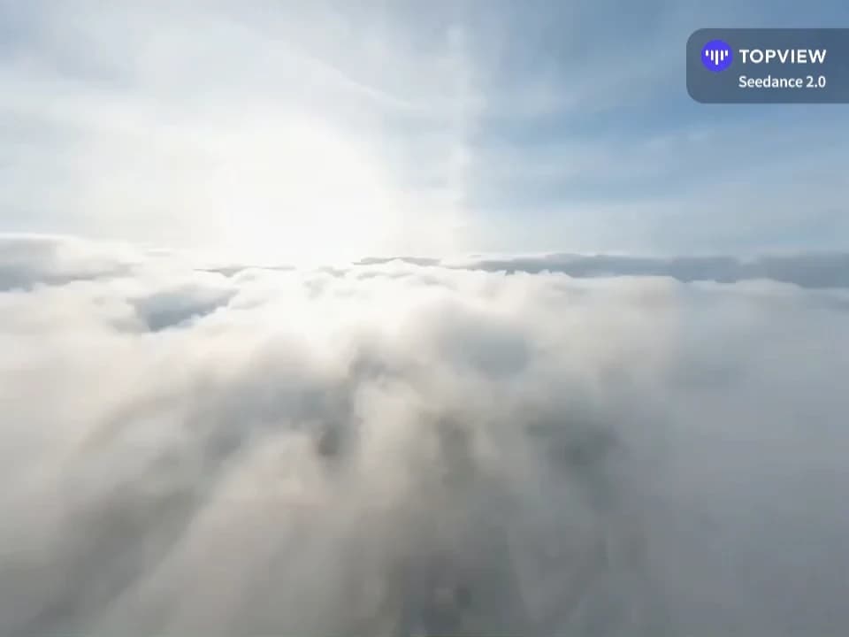 Seedance 2.0 template preview